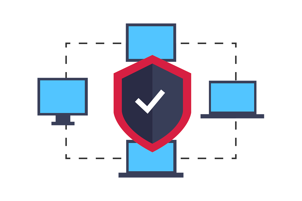 2025华夏常青树少儿版多少钱？ 真的是加量不加价！