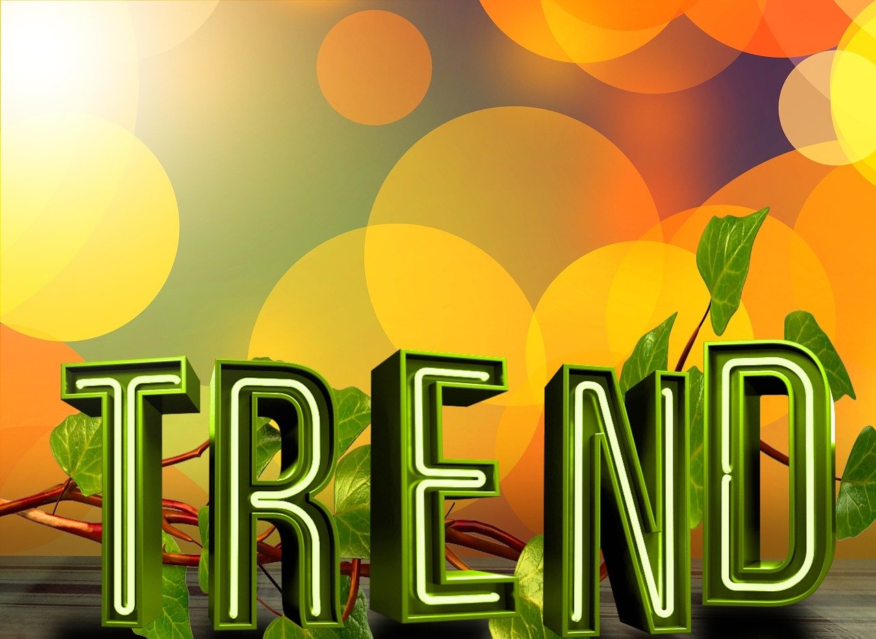 2025华安日日鑫货币a和中欧滚钱宝货币a哪个好 从两个角度来比较