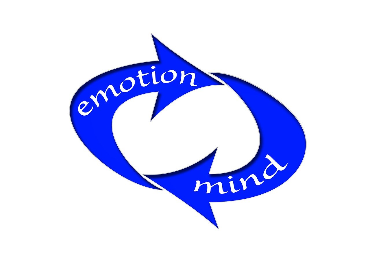 支付宝合作的只看芝麻分的平台，同时汇集5个支付宝合作的只看芝麻分的口子网贷