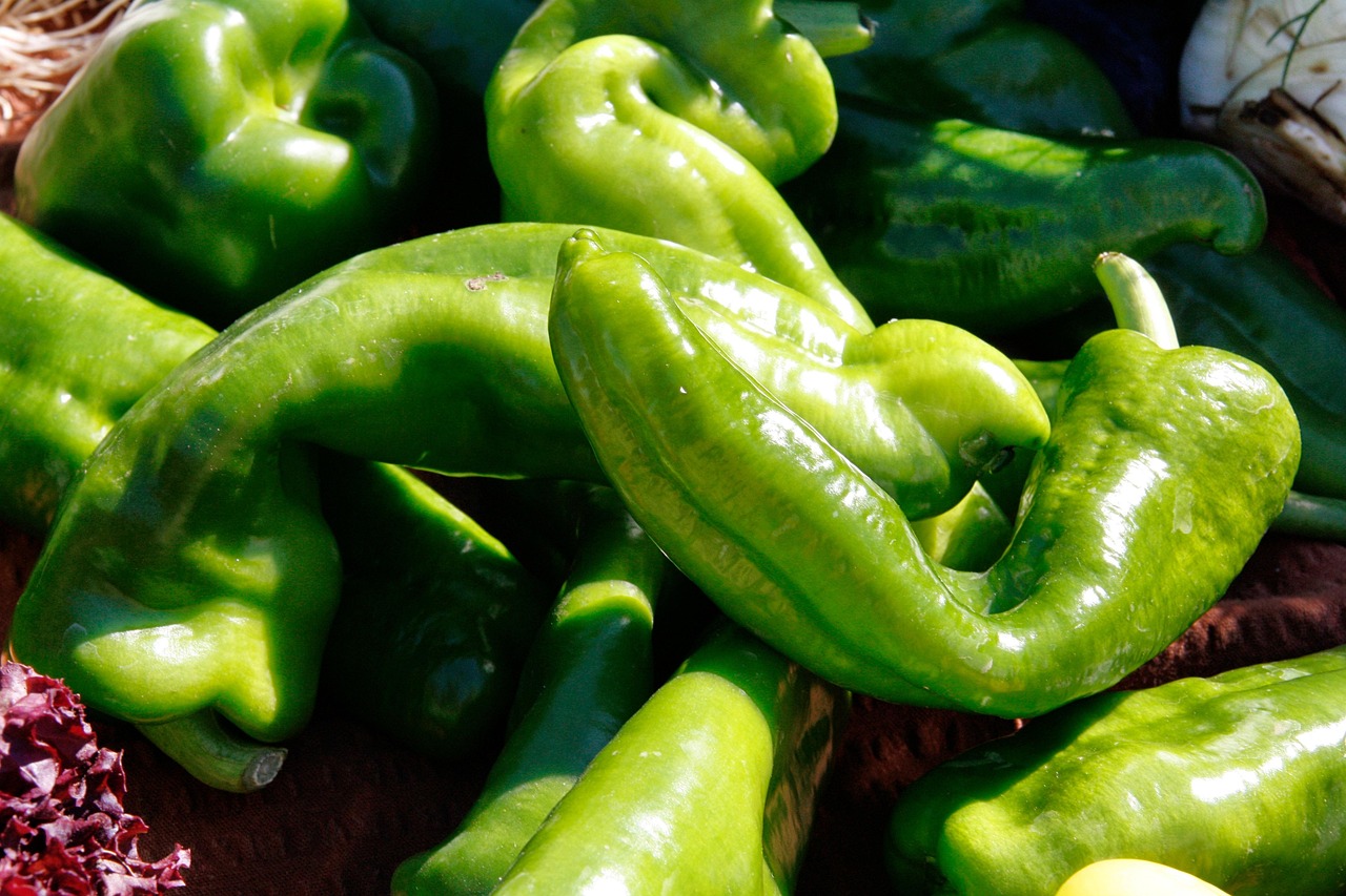 借款期限长一些的口子9月最新借款动态!整理这5个借钱秒到账微信 借款期限长一些的口子9月最新借款动态!整理这5个借钱秒到账微信